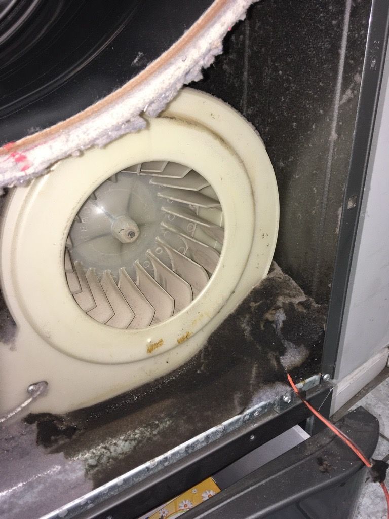 Close-up of a dirty blower fan inside an appliance, likely an HVAC unit.