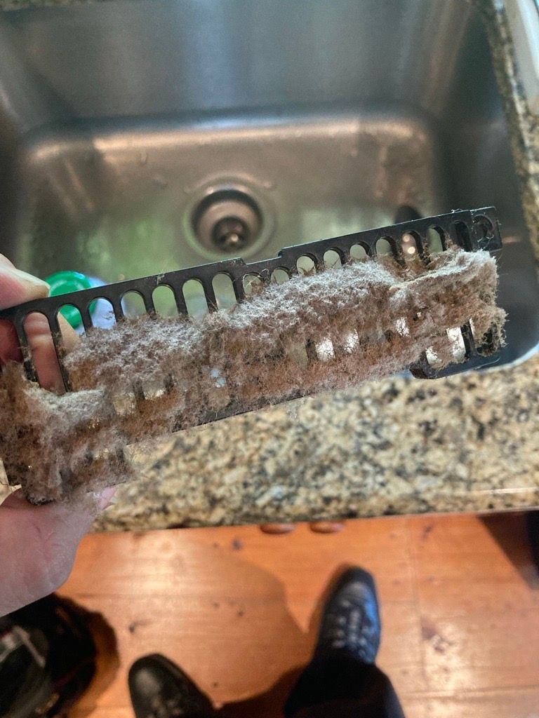 Hand holding a dirty aquarium filter over a kitchen sink, showing brown residue.
