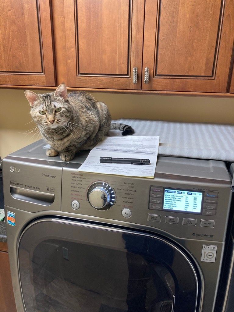 Tabby cat sitting on a washing machine, looking towards the camera. Paper and pen rest nearby. Brown cabinets in the background.
