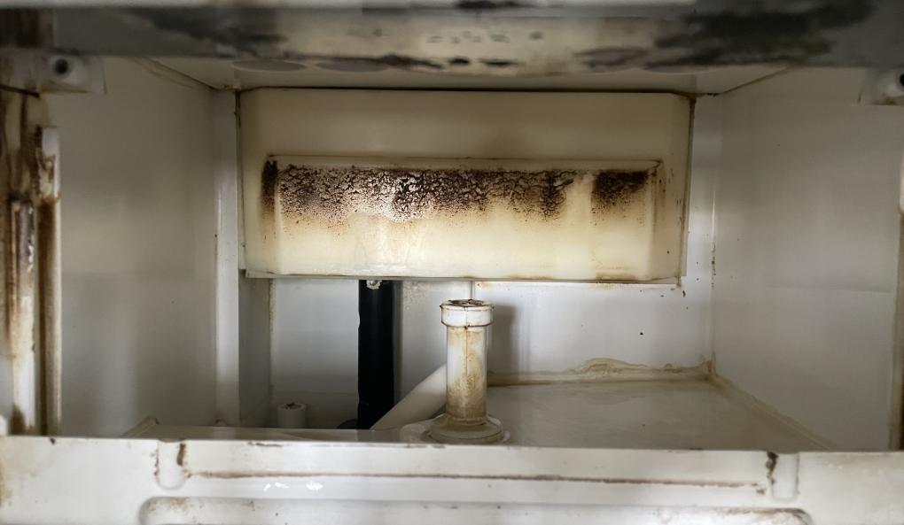 Inside view of an ice maker, showing a dirty, rectangular component and surrounding white surfaces.