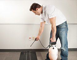 pest control Fleming Island FL 32003