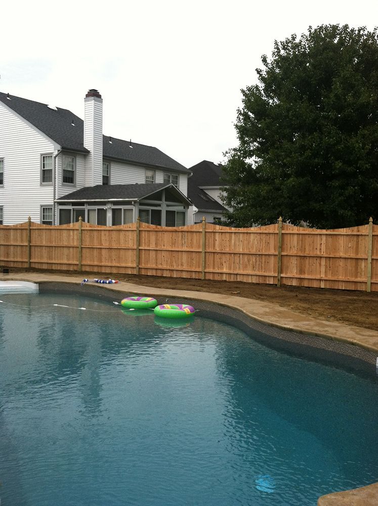 Swimming pool with a wooden fence and houses in the background; two inflatable rings floating.