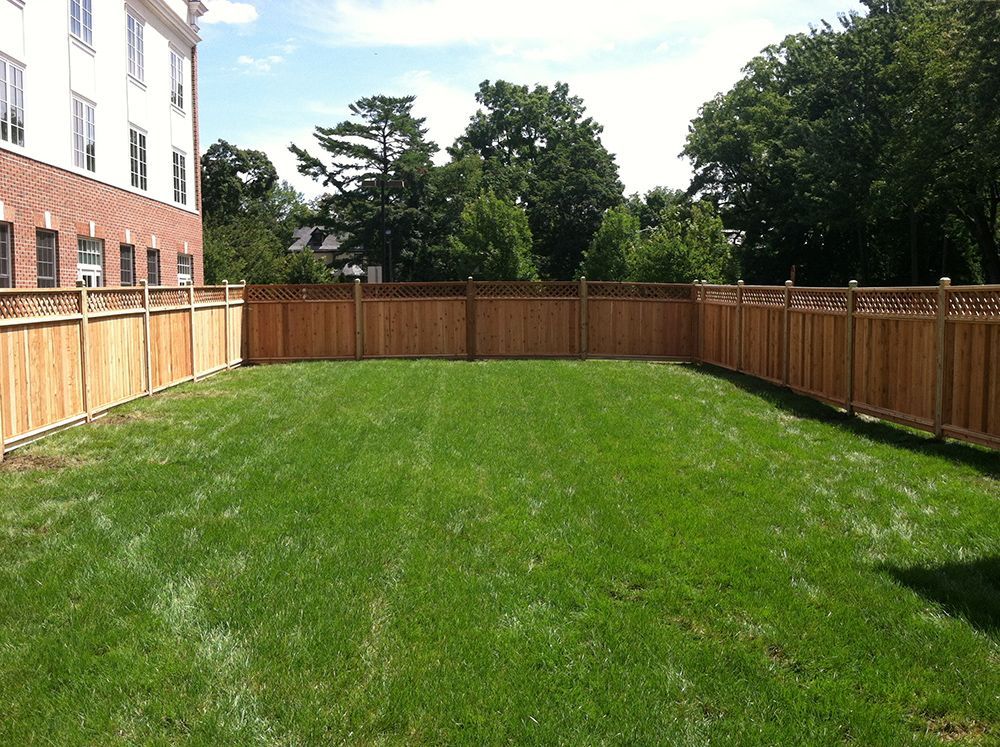 Lawn enclosed by wooden fence, trees, and building on a sunny day.