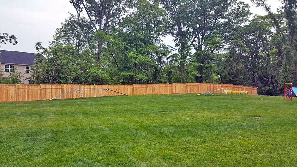 Green lawn with a wooden fence in the background, trees, and a house on a cloudy day.