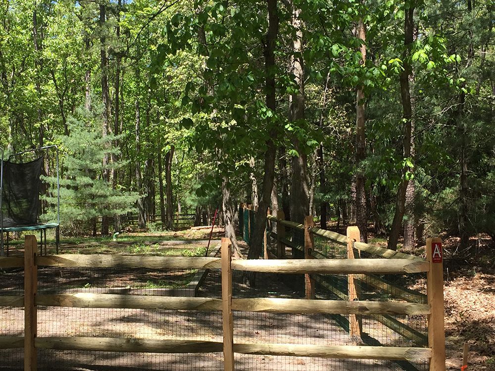 Wooden fence with trees behind it. Forest scene with sunny day.