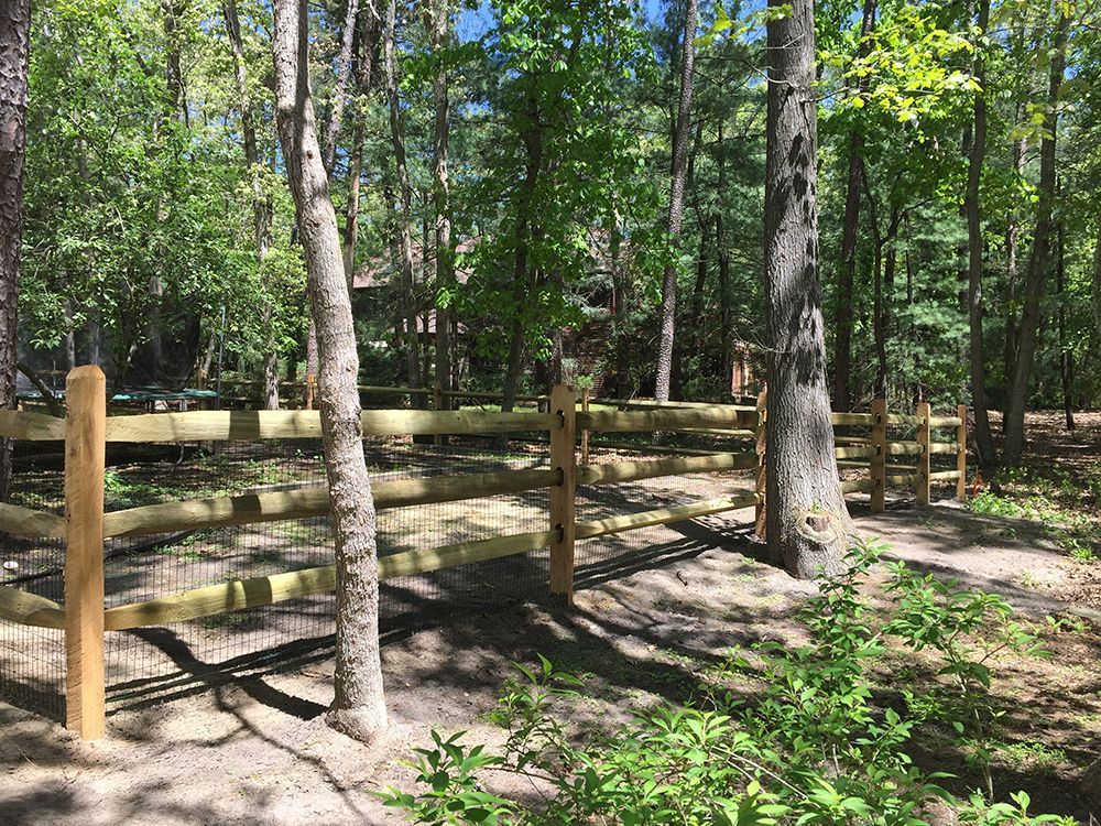 Wooden split-rail fence with mesh, in a wooded area. Trees surround the fence on a sunny day.