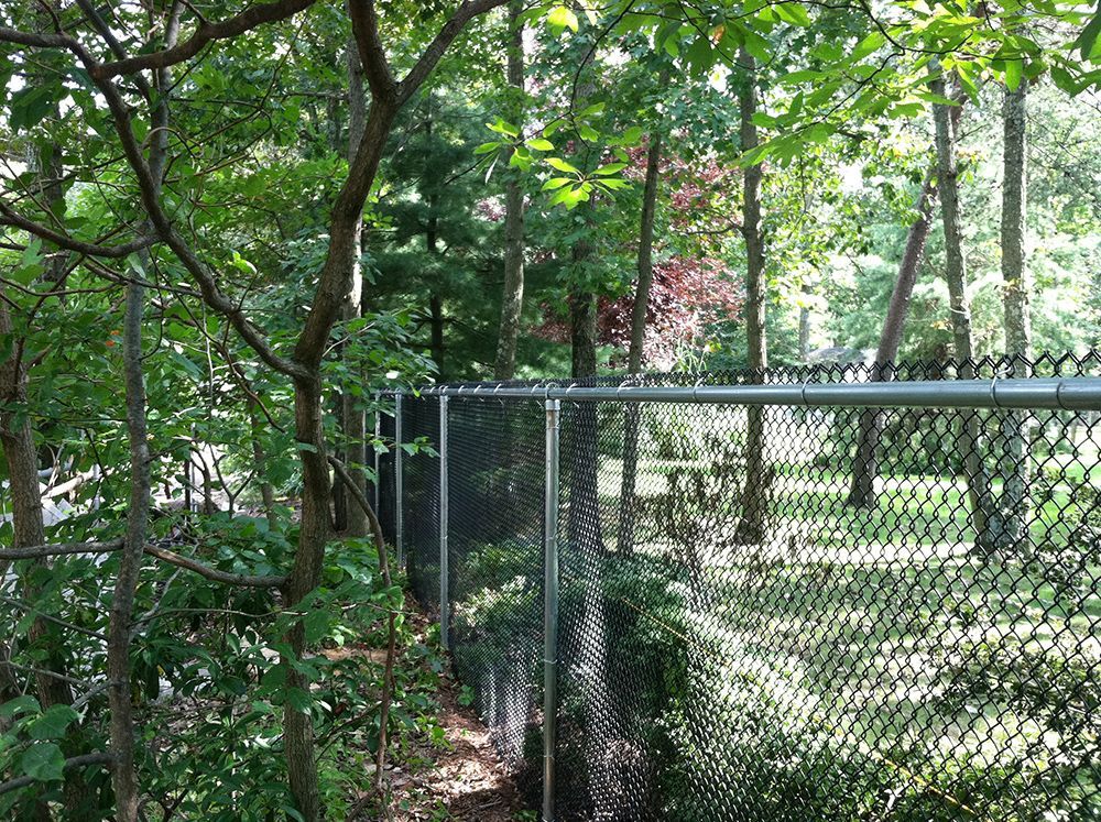 Chain-link fence borders a wooded area with trees and green foliage.