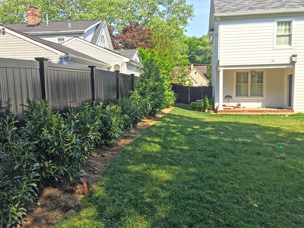 Backyard with a black fence, green bushes, and a two-story white house.