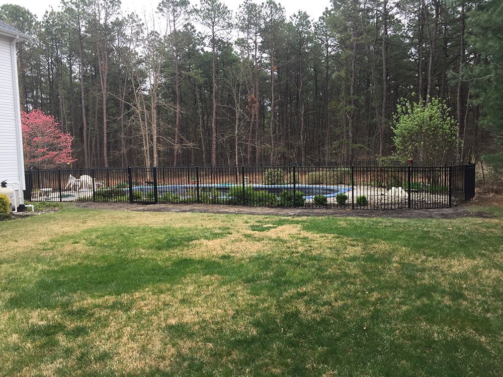 Black fence surrounds a swimming pool in a backyard with trees.