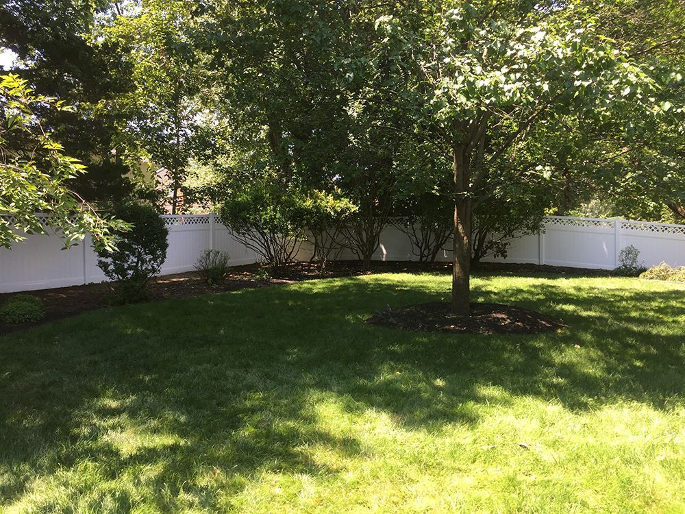 Lawn with trees and a white fence in a backyard setting.