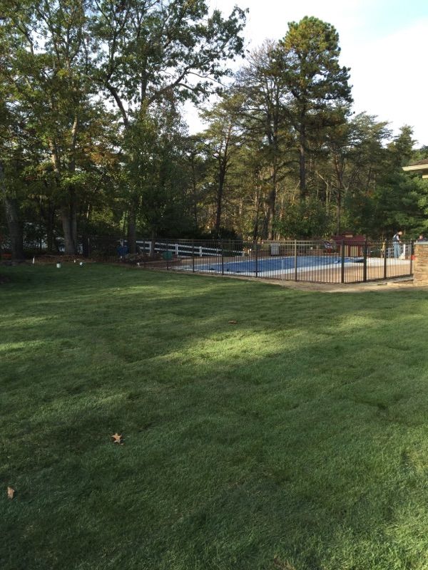 Green lawn leads to a fenced-in swimming pool surrounded by trees.