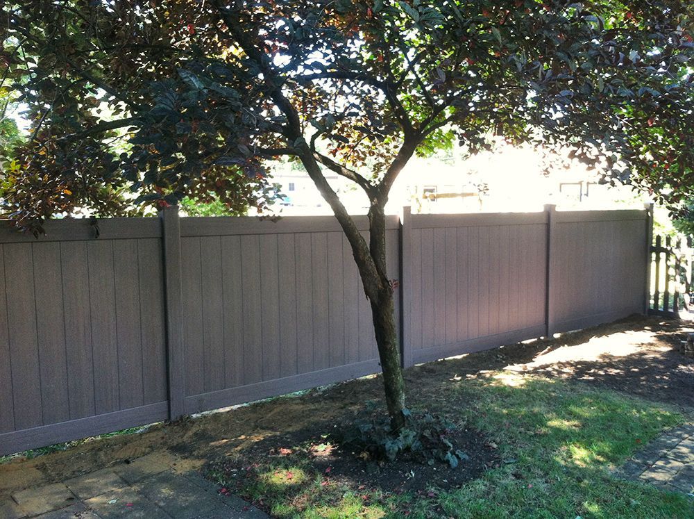 Brown privacy fence with a tree in front.