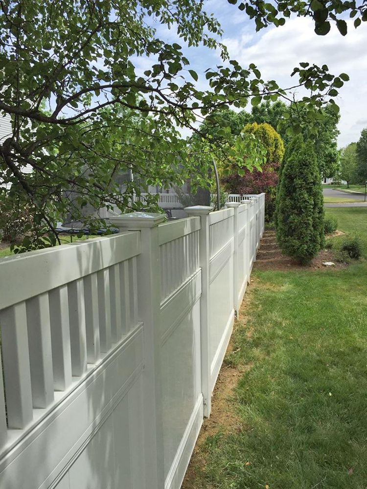 White picket fence along a grassy yard, trees in the background, blue sky.