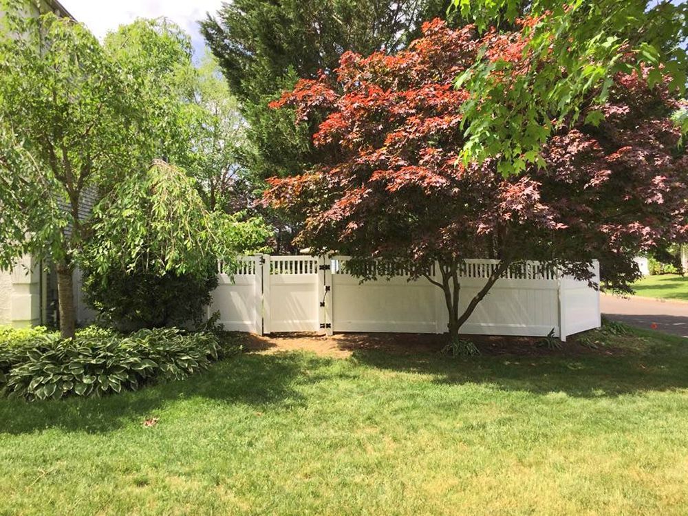 White fence with gate, bordered by trees with red and green foliage; grassy lawn.