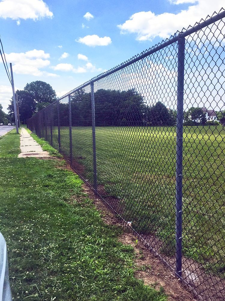 Chain-link fence borders a grassy field next to a sidewalk on a sunny day.