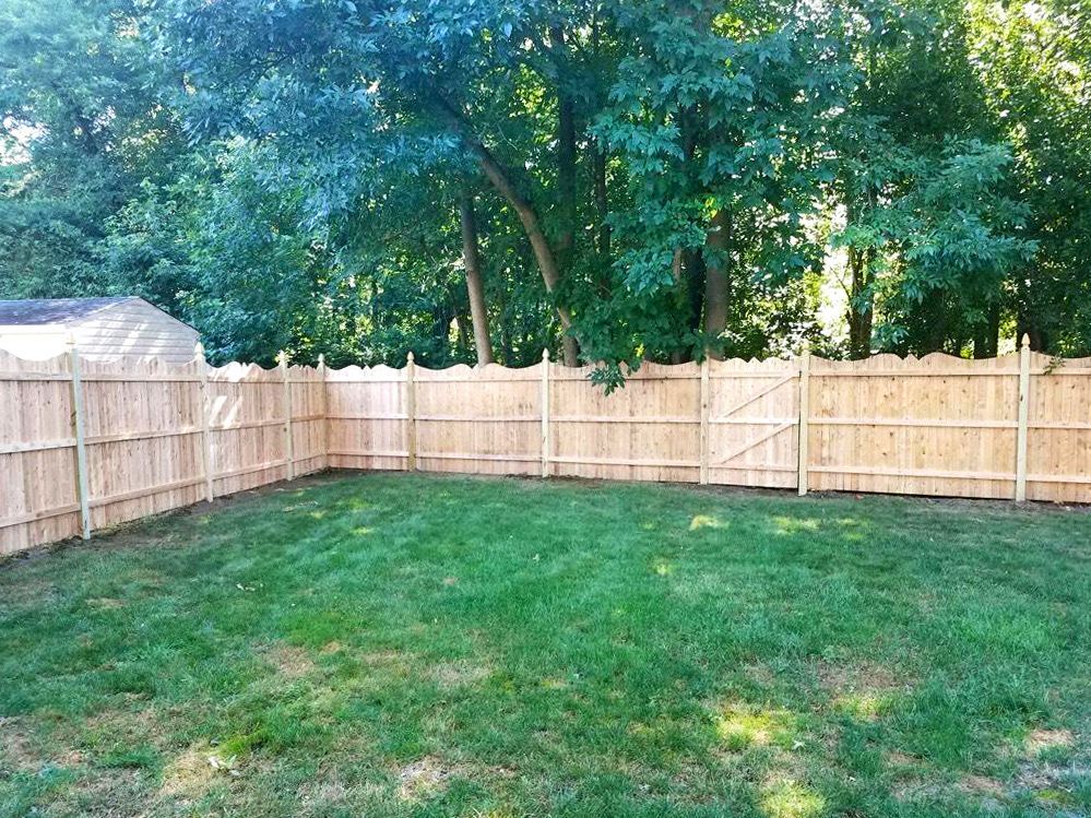 A fenced backyard with green grass and trees in the background.