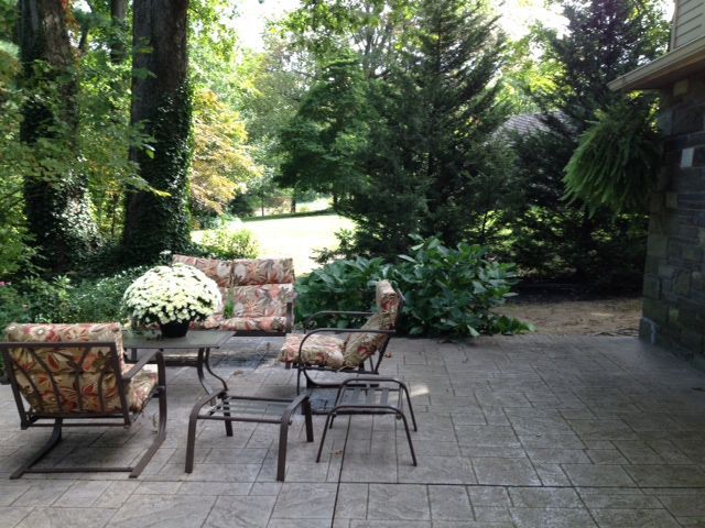 Patio with metal furniture, cushions, and potted flowers. Green trees and foliage in the background.