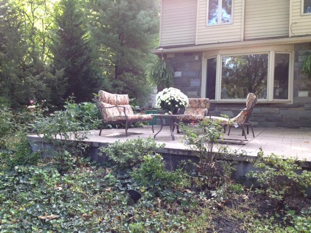 Patio with cushioned chairs and table, house with large window, overgrown foliage.