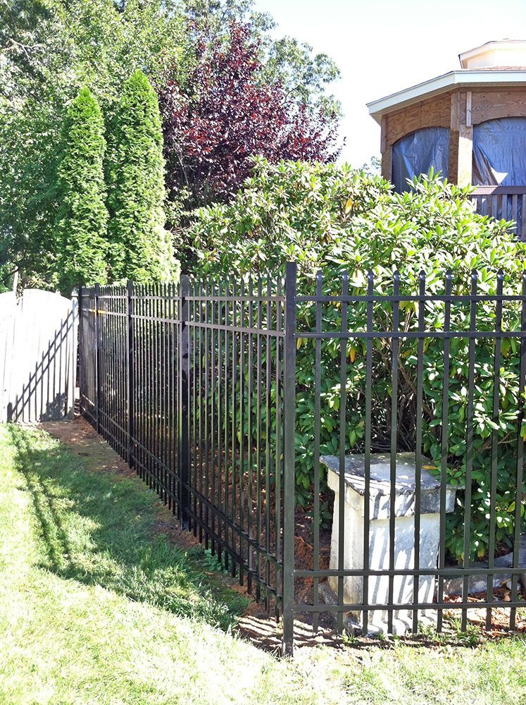 Black metal fence bordering a yard with trees, bushes, and a partial view of a house.