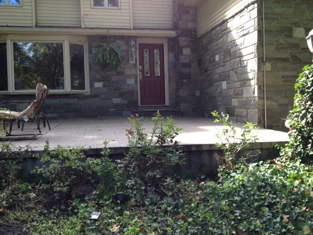 A front porch with stone facade and red door, with overgrown bushes in the foreground.