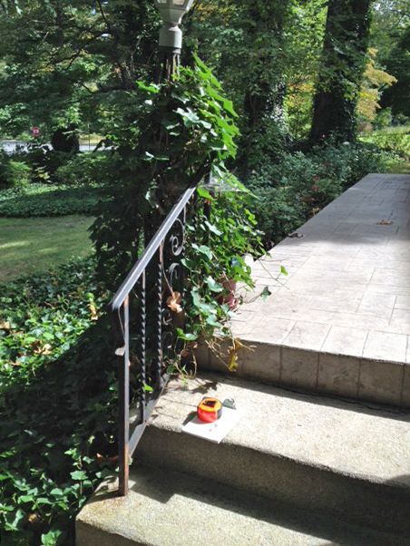 Concrete steps with metal handrail; greenery surrounds. A small orange object sits on a step.