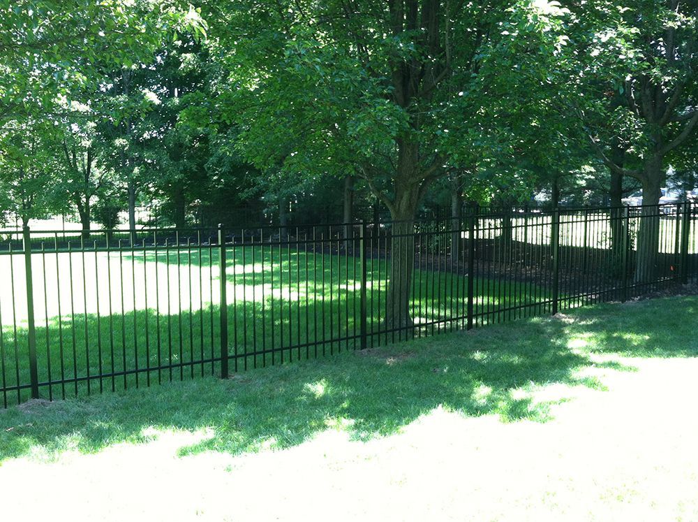 Black metal fence in grassy yard with trees.