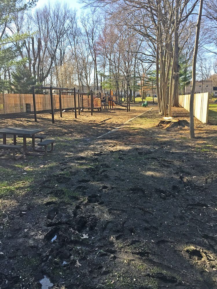 Muddy playground with play structures and a wooden fence. Bare trees in the background under a bright sky.