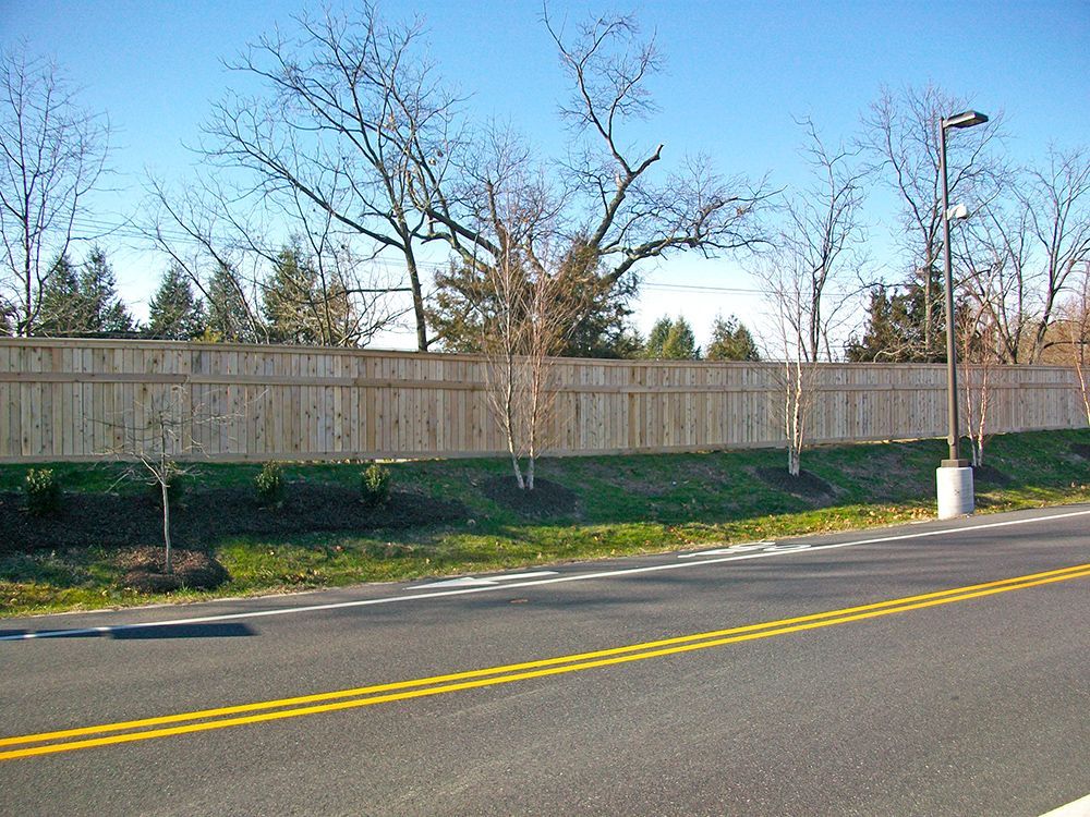 A road with double yellow lines next to a wooden fence with bare trees in front of a blue sky.