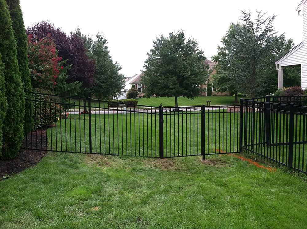Black metal fence enclosing a grassy backyard. Trees and houses visible in the background. Overcast sky.