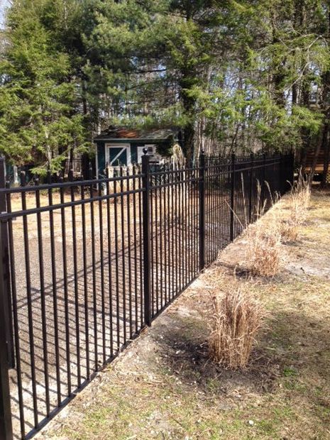 Black metal fence along a grassy area, with trees and a small shed in the background.