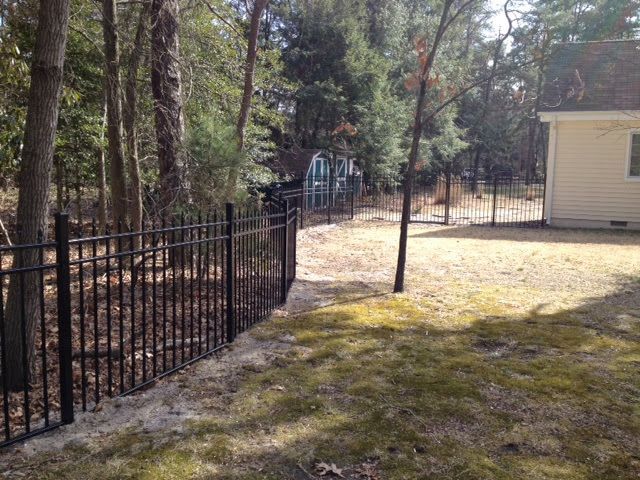 Black metal fence bordering a backyard with sparse grass, trees, and a house with a beige exterior.