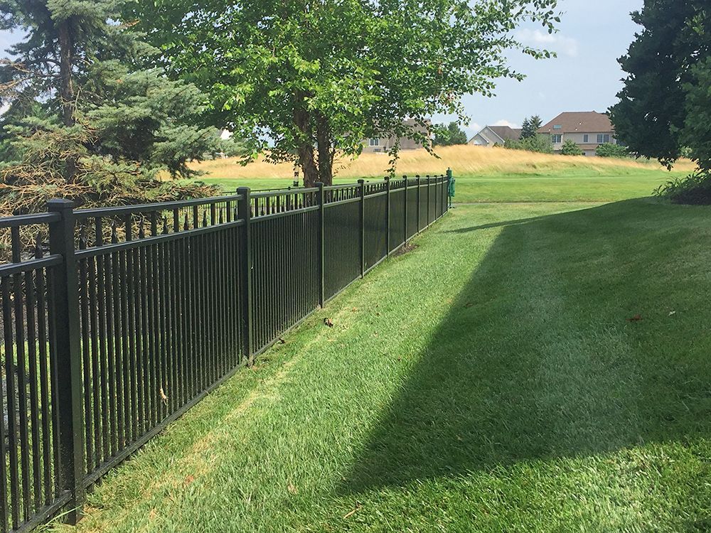 Black fence along a green grassy yard, leading to a tree and houses in the distance.