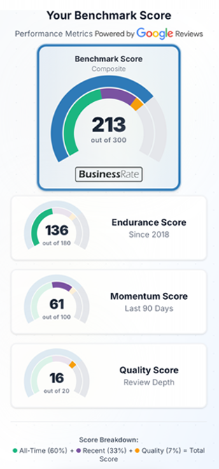 Benchmark scores dashboard with a central 213 score and smaller performance, endurance, momentum, and quality gauges