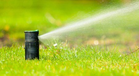 Designed Irrigation System