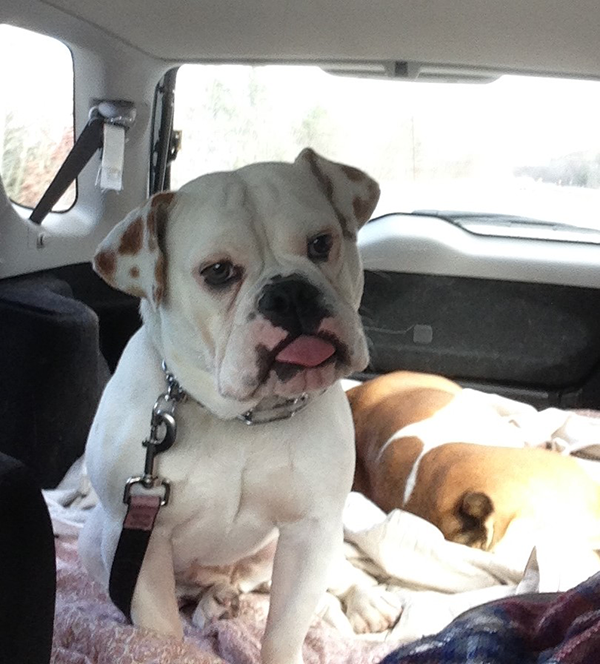 Travel to Rock Ridge