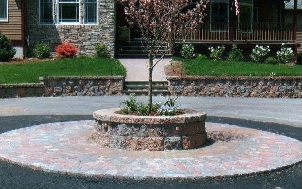 A tree in a circle in front of a house