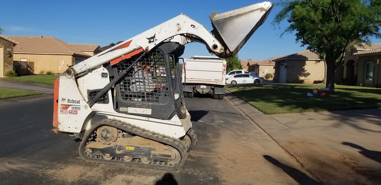 A bobcat is sitting on the side of the road in a residential neighborhood.
