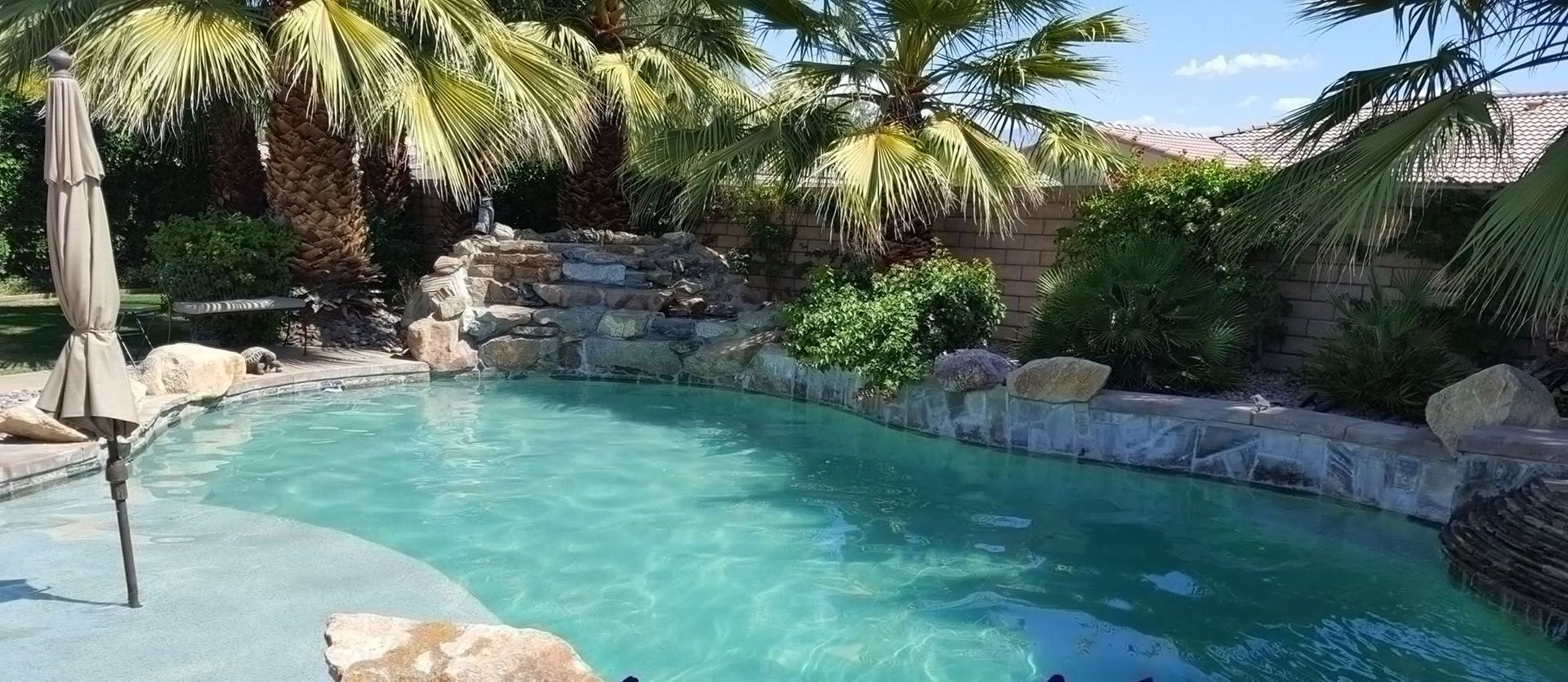 A large swimming pool surrounded by palm trees and rocks.
