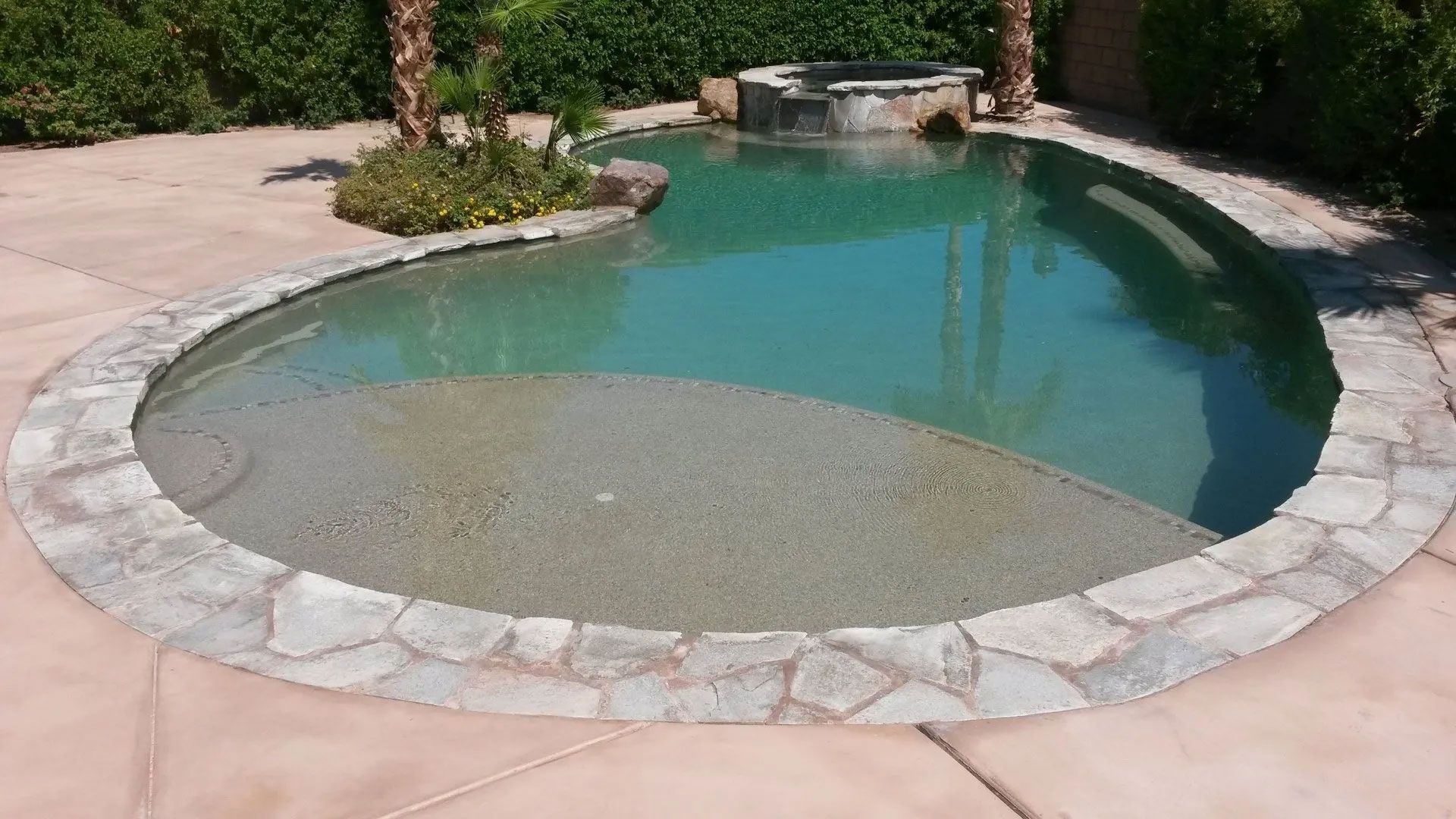 A swimming pool with a stone border and palm trees in the background