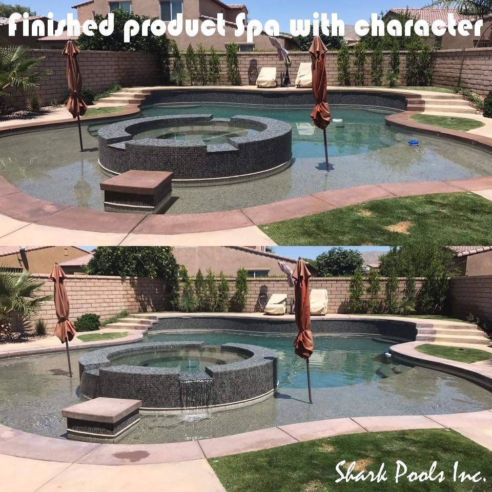 Shark pools inc. finished product spa with character
