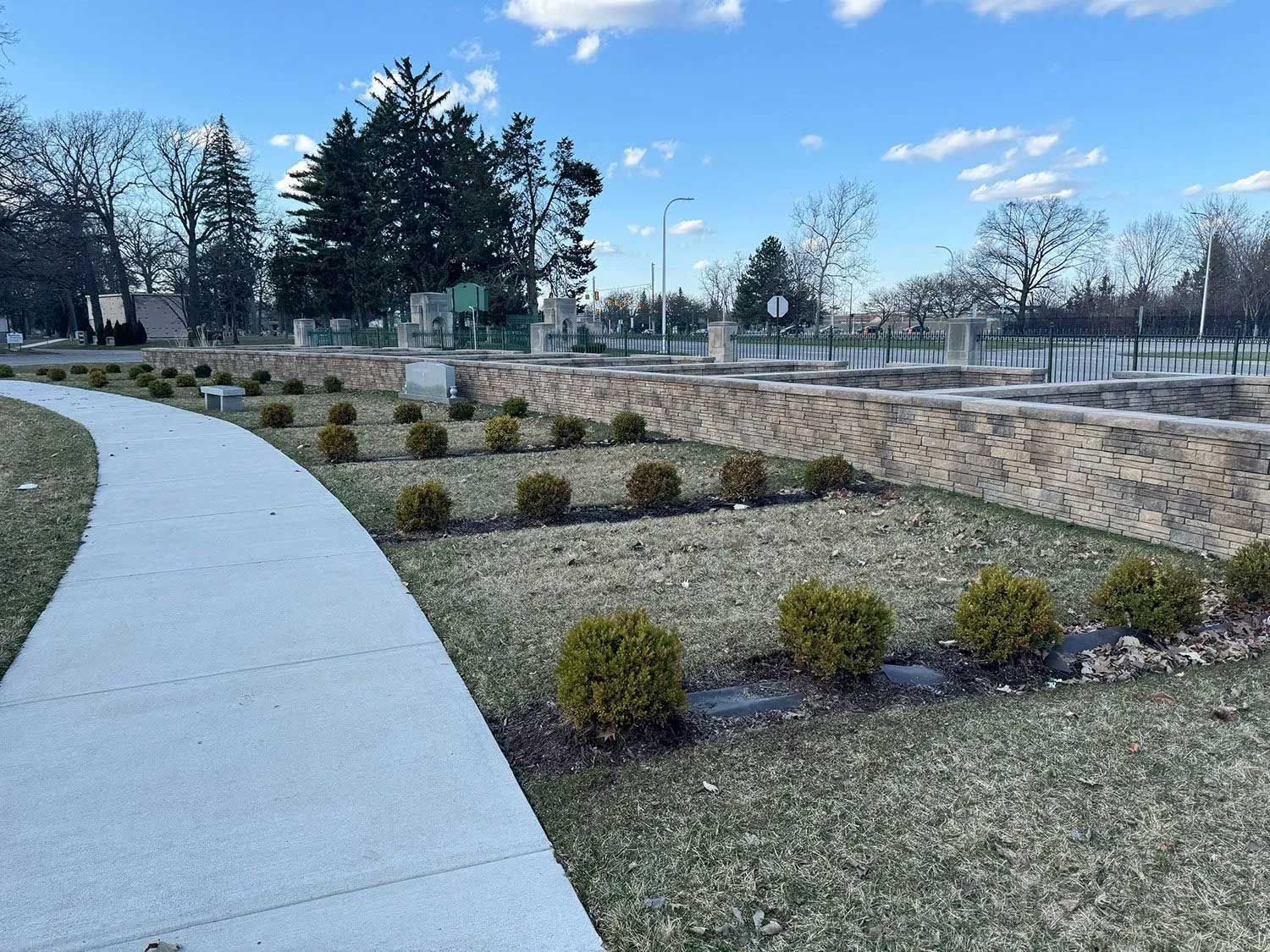 Sandy desert surface with long, curved shadows.