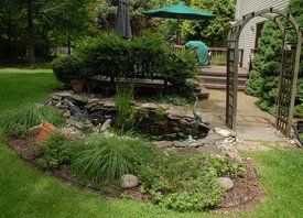 garden with mini pond