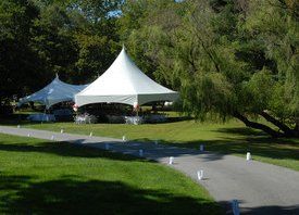 yard full of grass and trees