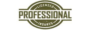 A green and white logo that says licensed professional insured
