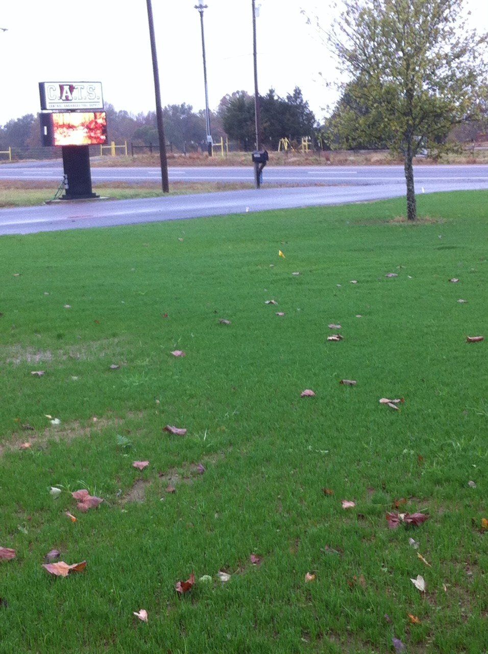 Residential hydroseeding project