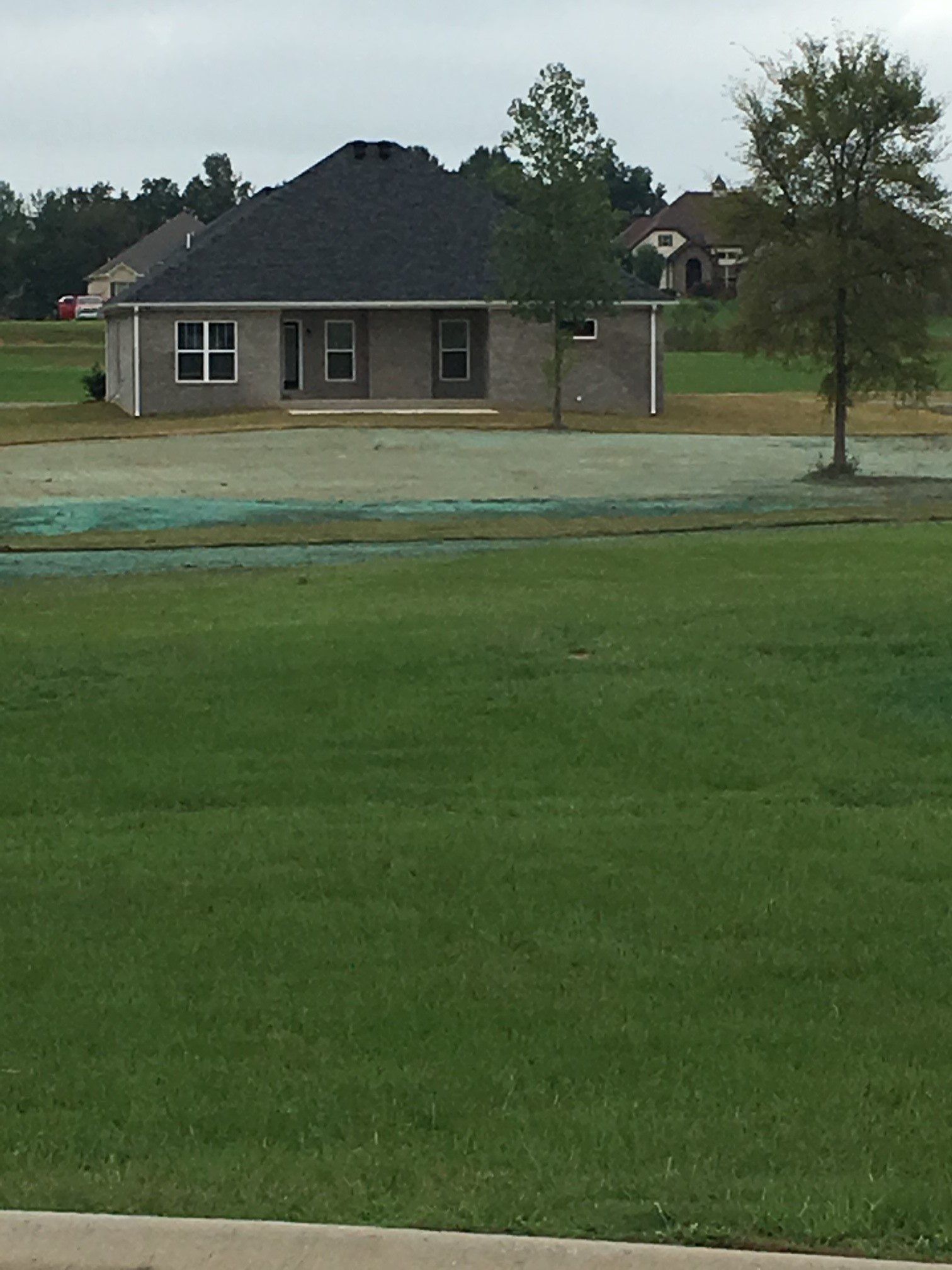 Residential hydroseeding project