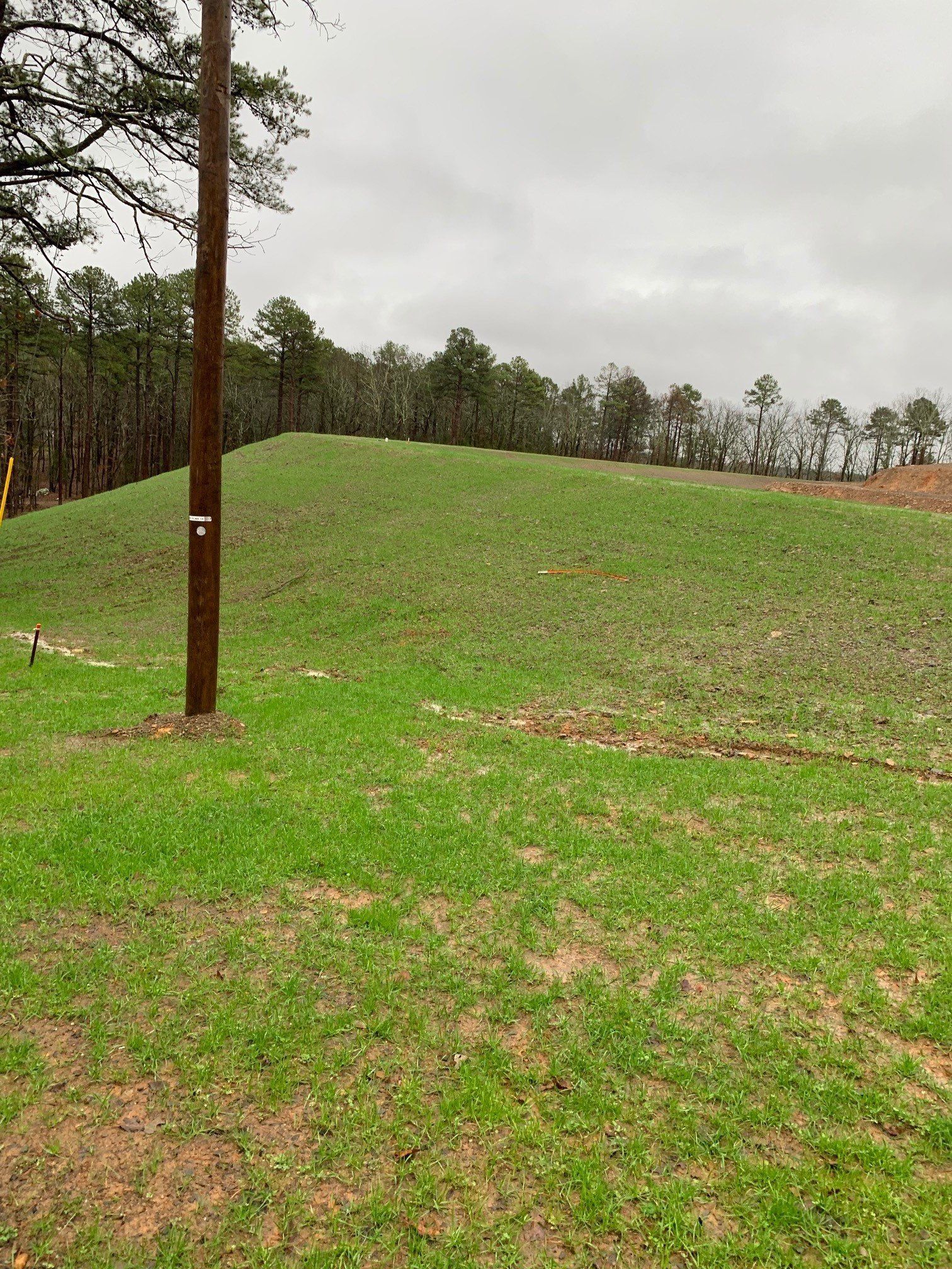 Commercial hydroseeding project