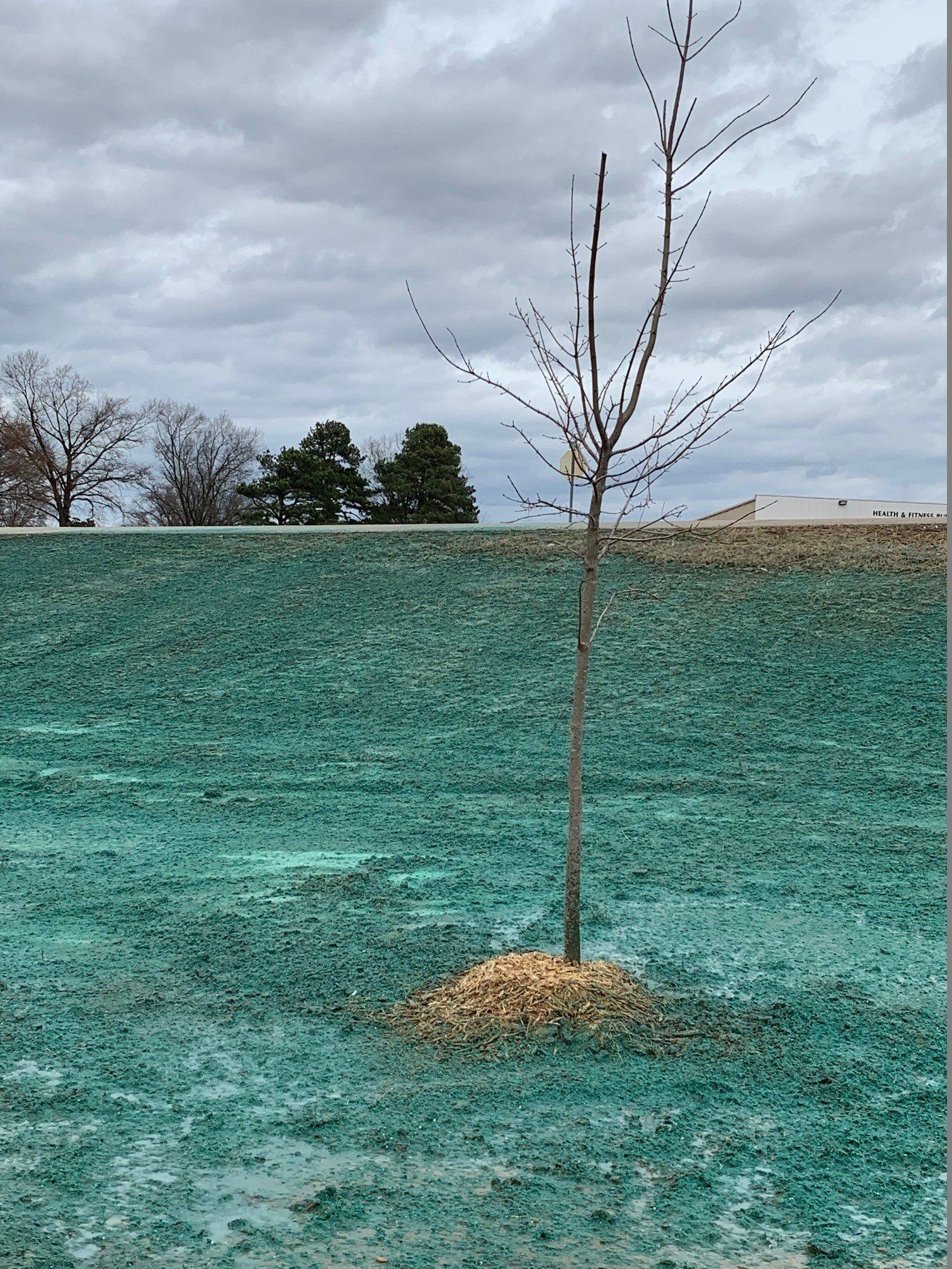 Commercial hydroseeding project