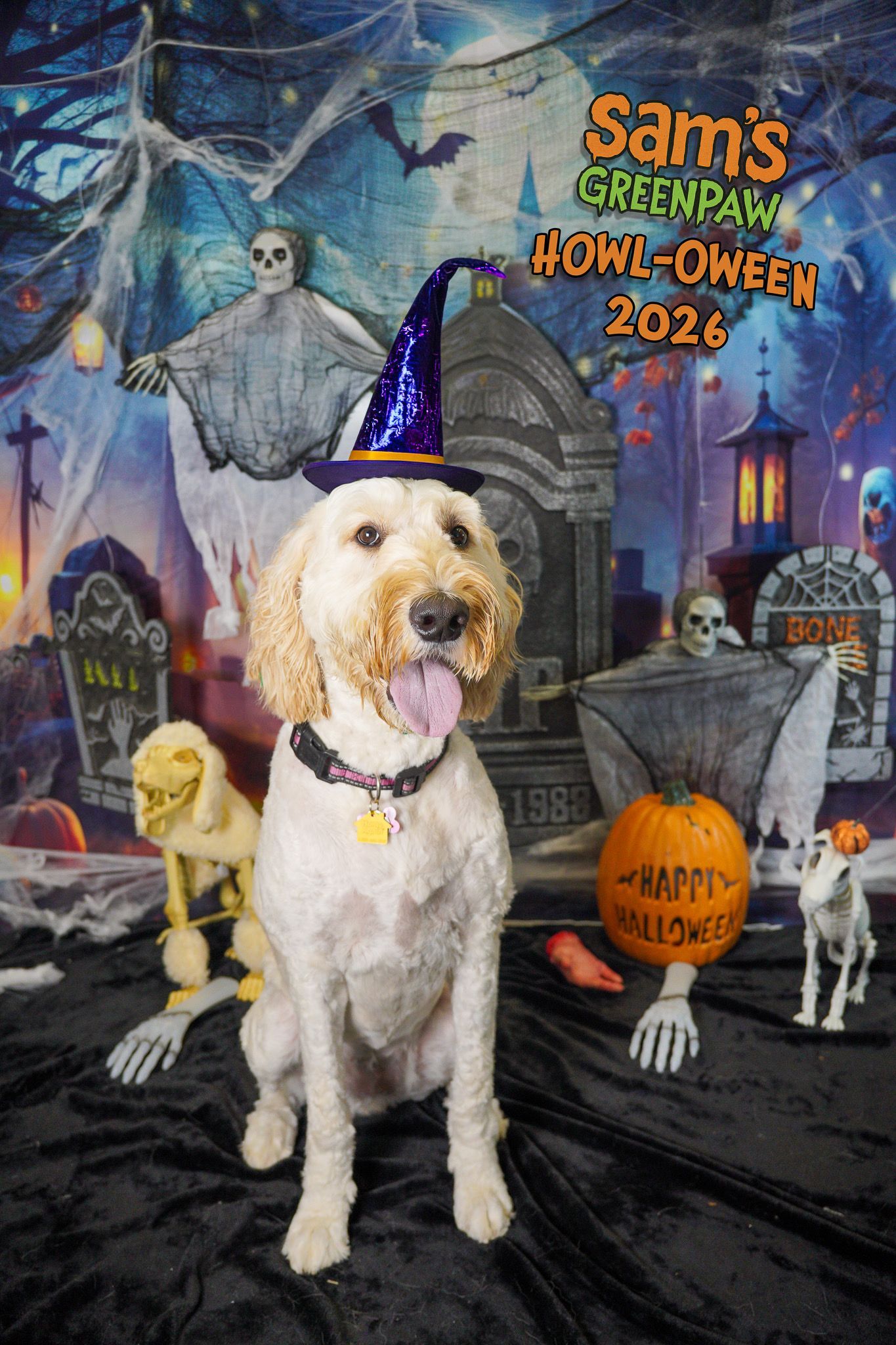 Dog in a witch hat posed in a spooky Halloween cemetery with pumpkins and ghosts, “Sam’s Halloween” sign.