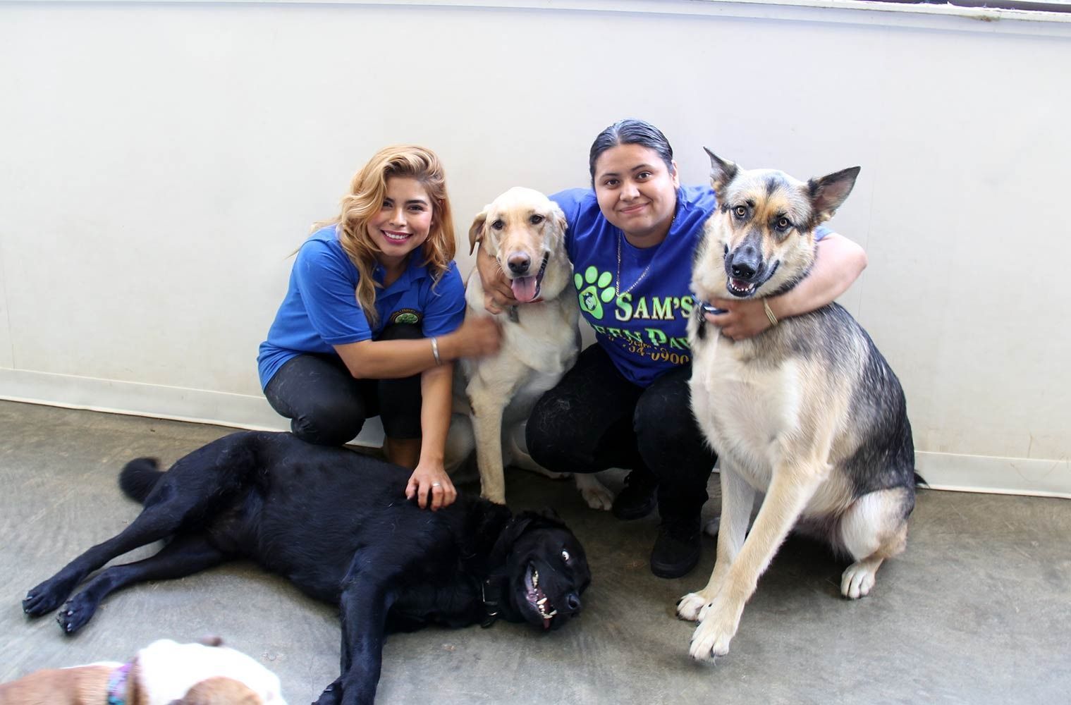 Two people pose with three dogs—one black, one golden, and one shepherd-mix—against a white wall.